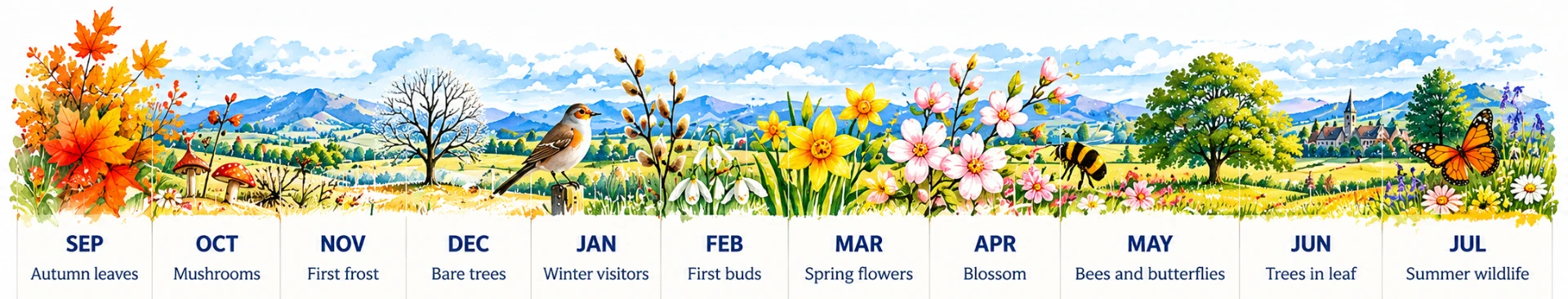 Watercolour timeline of a school year in nature: Sep autumn leaves, Oct mushrooms, Nov first frost, Dec bare trees, Jan winter visitors, Feb first buds, Mar spring flowers, Apr blossom, May bees and butterflies, Jun trees in leaf, Jul summer wildlife