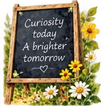 Watercolour chalkboard reading: Curiosity today, a brighter tomorrow