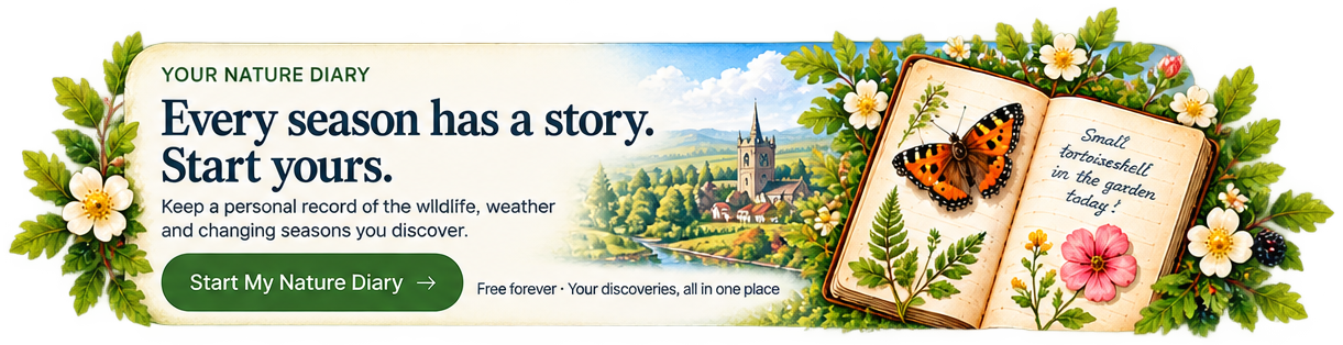 Every season has a story. Start yours. Start My Nature Diary.