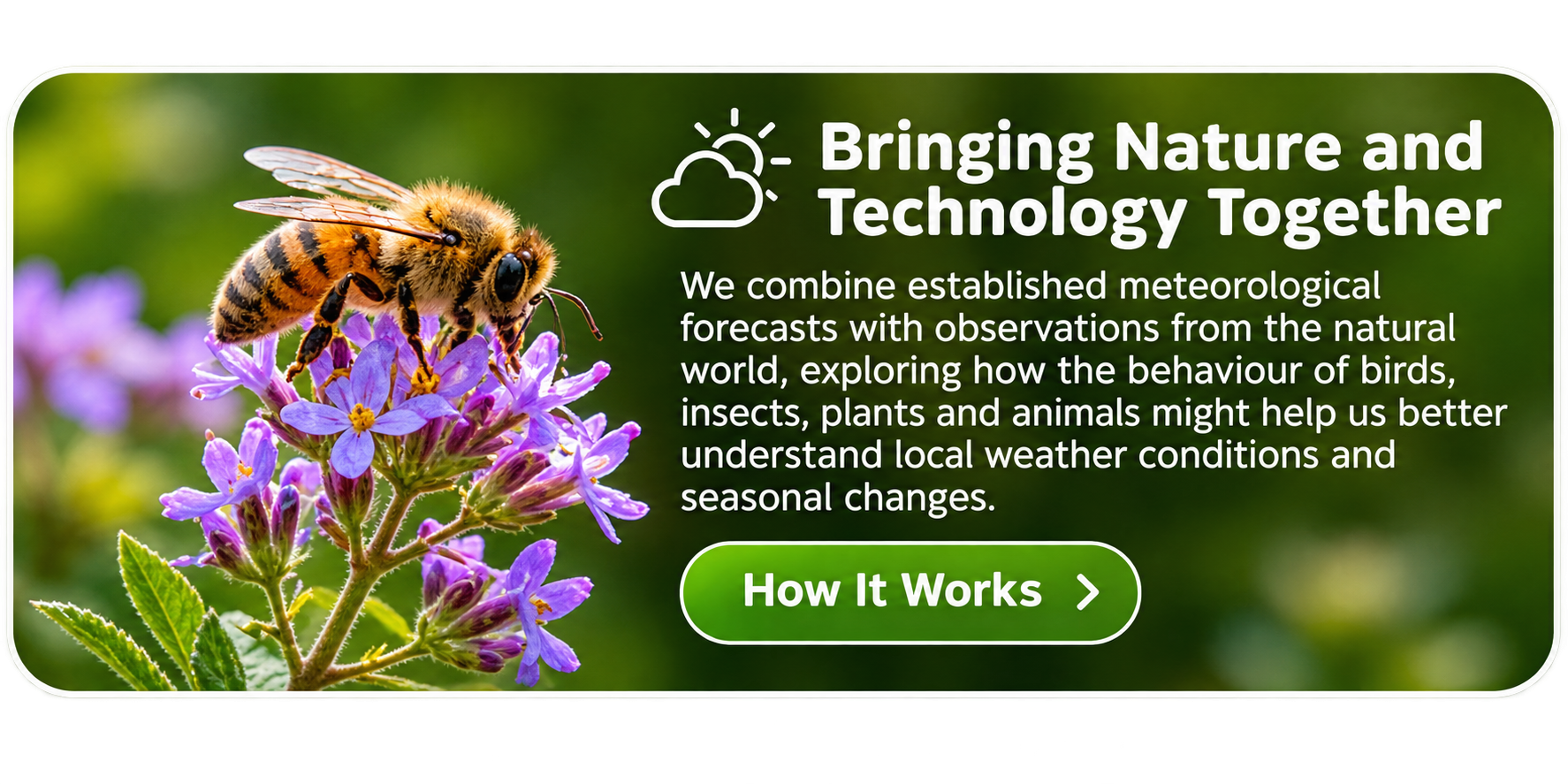 Bringing Nature and Technology Together — We combine established meteorological forecasts with observations from the natural world